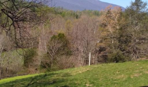 Photo #21 of TAYLOR CREEK RD, AFTON, VA 4.5 acres