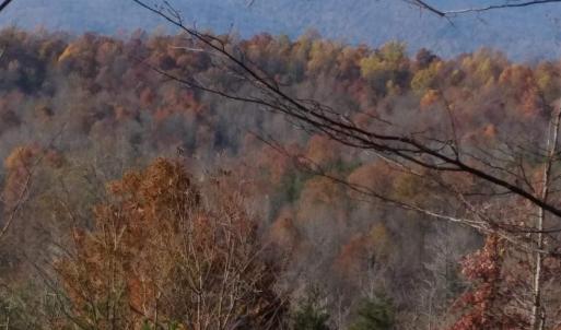 Photo #13 of TAYLOR CREEK RD, AFTON, VA 4.5 acres