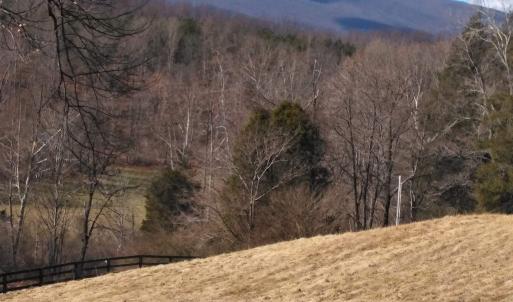 Photo #14 of TAYLOR CREEK RD, AFTON, VA 4.5 acres