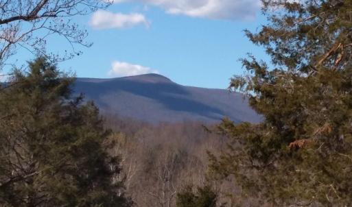 Photo #15 of TAYLOR CREEK RD, AFTON, VA 4.5 acres