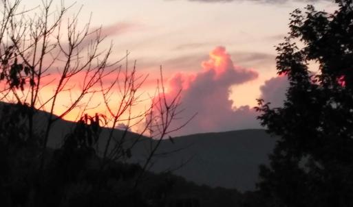 Photo #5 of TAYLOR CREEK RD, AFTON, VA 4.5 acres