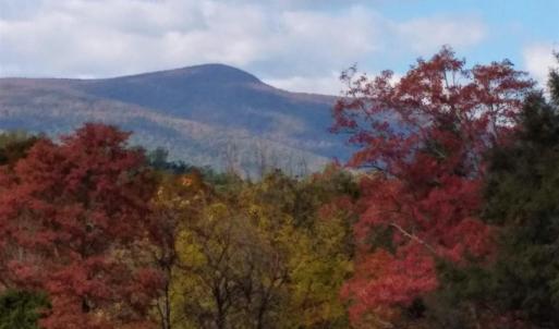 Photo #10 of TAYLOR CREEK RD, AFTON, VA 4.5 acres