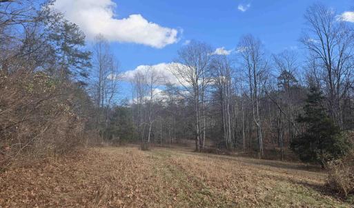 Photo #1 of Lot C SYCAMORE LN, RUCKERSVILLE, VA 10.3 acres