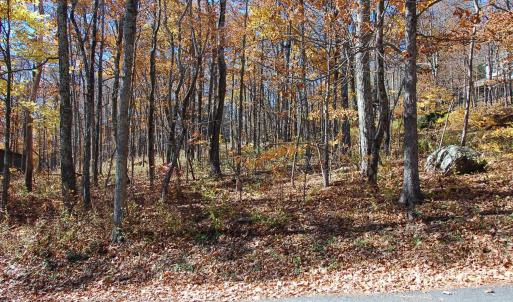 Photo #2 of 24 WHITE OAK LN, WINTERGREEN RESORT, VA 0.6 acres