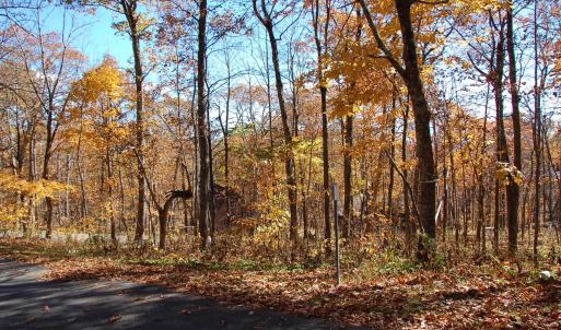 Photo #3 of 24 WHITE OAK LN, WINTERGREEN RESORT, VA 0.6 acres