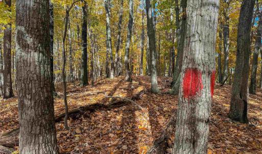 Photo #37 of TBD INCH RUN LN, LYNDHURST, VA 54.0 acres