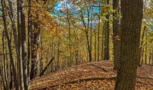 Photo #42 of TBD INCH RUN LN, LYNDHURST, VA 54.0 acres