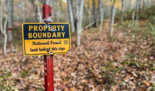 Photo #3 of TBD INCH RUN LN, LYNDHURST, VA 54.0 acres