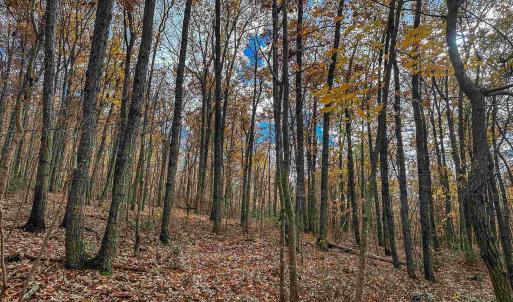 Photo #33 of TBD INCH RUN LN, LYNDHURST, VA 54.0 acres