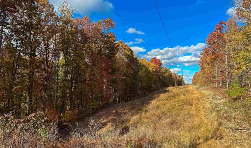 Photo #21 of TBD INCH RUN LN, LYNDHURST, VA 54.0 acres