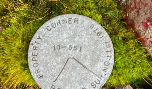 Photo #32 of TBD INCH RUN LN, LYNDHURST, VA 54.0 acres