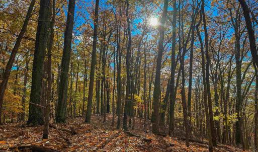 Photo #39 of TBD INCH RUN LN, LYNDHURST, VA 54.0 acres