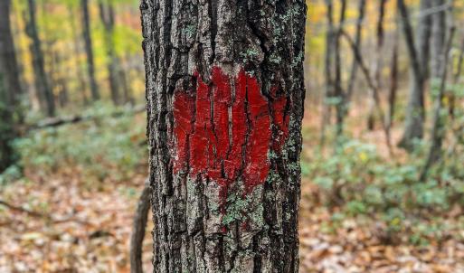 Photo #31 of TBD INCH RUN LN, LYNDHURST, VA 54.0 acres