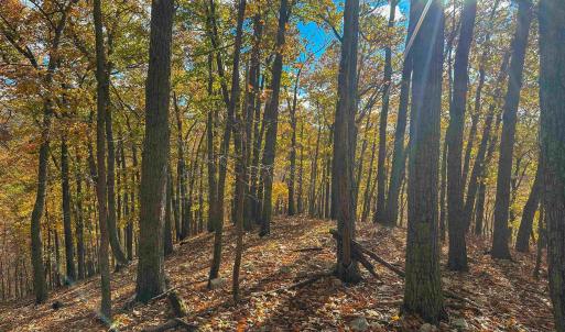 Photo #43 of TBD INCH RUN LN, LYNDHURST, VA 54.0 acres