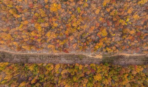 Photo #22 of TBD INCH RUN LN, LYNDHURST, VA 54.0 acres