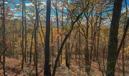 Photo #44 of TBD INCH RUN LN, LYNDHURST, VA 54.0 acres