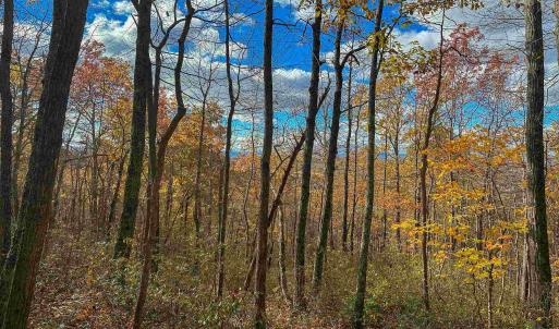 Photo #35 of TBD INCH RUN LN, LYNDHURST, VA 54.0 acres