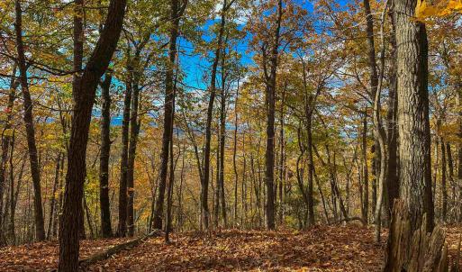 Photo #40 of TBD INCH RUN LN, LYNDHURST, VA 54.0 acres