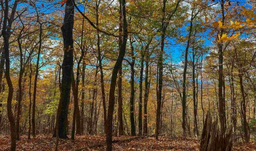 Photo #38 of TBD INCH RUN LN, LYNDHURST, VA 54.0 acres