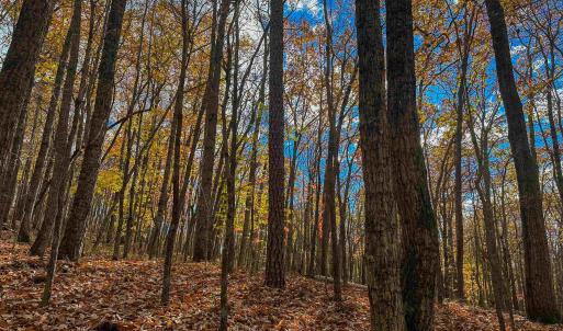 Photo #36 of TBD INCH RUN LN, LYNDHURST, VA 54.0 acres