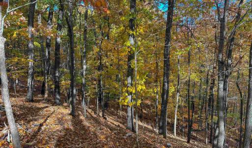 Photo #41 of TBD INCH RUN LN, LYNDHURST, VA 54.0 acres