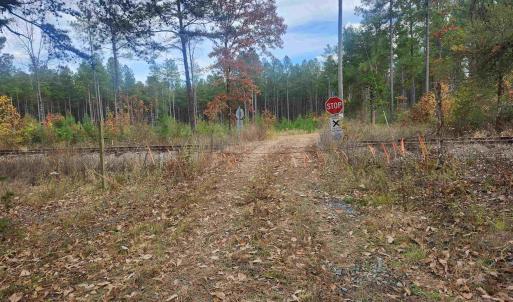 Photo #1 of JOHNSON RD, MINERAL, VA 213.3 acres