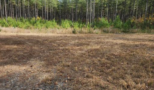 Photo #2 of JOHNSON RD, MINERAL, VA 213.3 acres