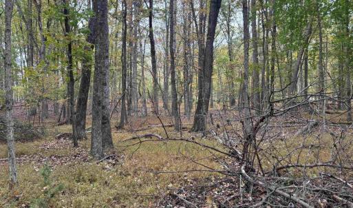 Photo #2 of SAINT JOHN RD, GORDONSVILLE, VA 5.7 acres