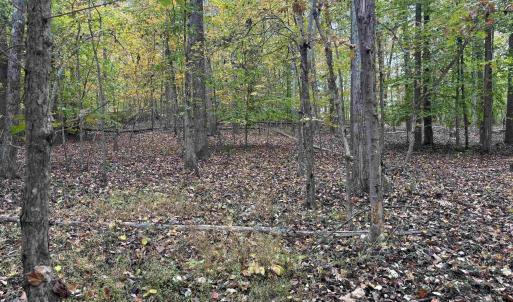 Photo #1 of SAINT JOHN RD, GORDONSVILLE, VA 5.7 acres