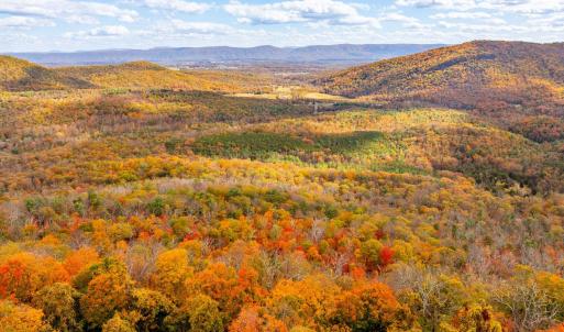 Photo #9 of BETHANY CHURCH LN, EDINBURG, VA 134.4 acres