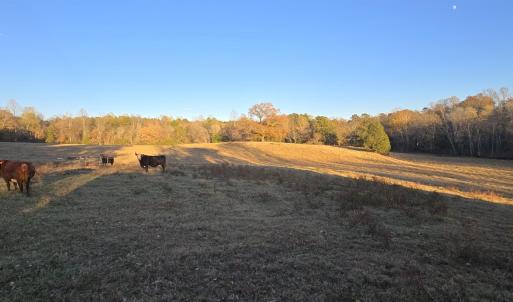 Photo #10 of 7634 SEMINOLE TRL, RUCKERSVILLE, VA 61.5 acres