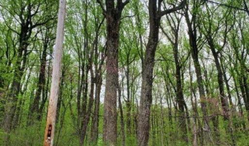 Photo #4 of GAYLE LN, FRONT ROYAL, VA 0.9 acres