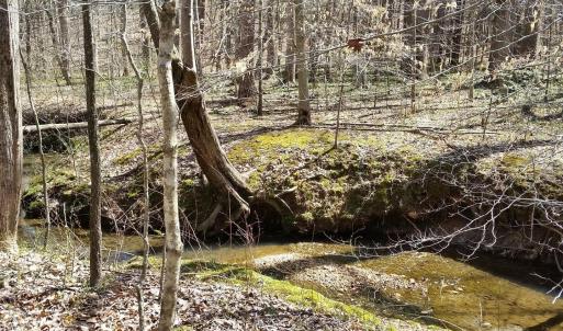 Photo #15 of 2647 PENNY LN, CHARLOTTESVILLE, VA 28.0 acres