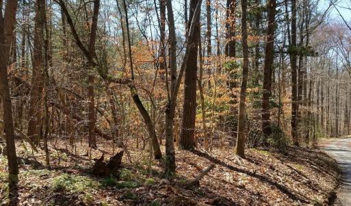 Photo #8 of 2647 PENNY LN, CHARLOTTESVILLE, VA 28.0 acres