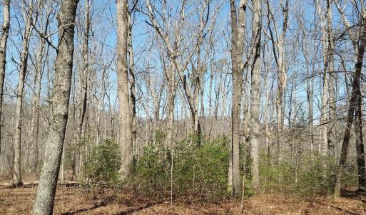 Photo #5 of 2647 PENNY LN, CHARLOTTESVILLE, VA 28.0 acres