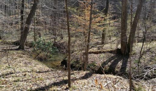 Photo #18 of 2647 PENNY LN, CHARLOTTESVILLE, VA 28.0 acres