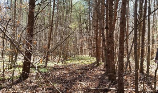 Photo #2 of 2647 PENNY LN, CHARLOTTESVILLE, VA 28.0 acres