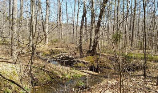 Photo #17 of 2647 PENNY LN, CHARLOTTESVILLE, VA 28.0 acres