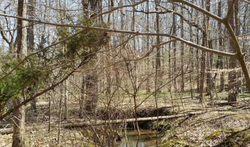 Photo #3 of 2647 PENNY LN, CHARLOTTESVILLE, VA 28.0 acres