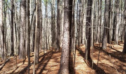 Photo #22 of 2647 PENNY LN, CHARLOTTESVILLE, VA 28.0 acres