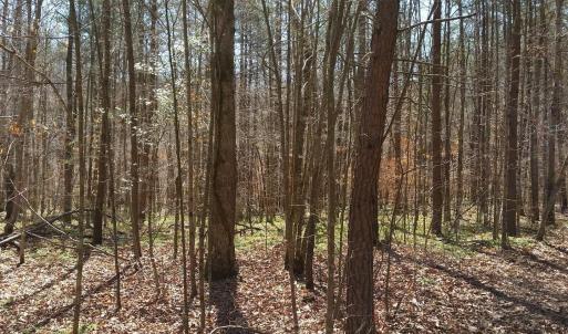 Photo #10 of 2647 PENNY LN, CHARLOTTESVILLE, VA 28.0 acres