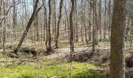 Photo #19 of 2647 PENNY LN, CHARLOTTESVILLE, VA 28.0 acres