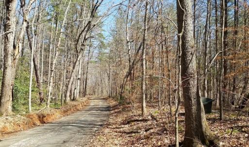 Photo #7 of 2647 PENNY LN, CHARLOTTESVILLE, VA 28.0 acres