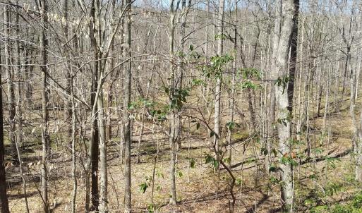 Photo #26 of 2647 PENNY LN, CHARLOTTESVILLE, VA 28.0 acres