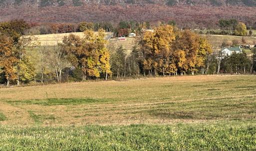 Photo #2 of TBD MICHAEL LN, ELKTON, VA 6.5 acres