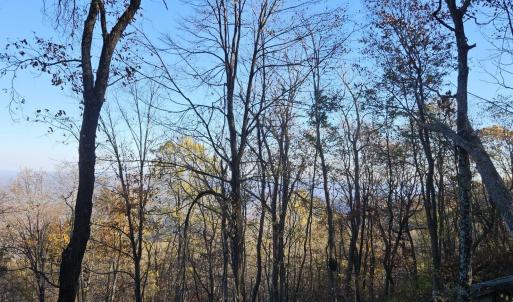 Photo #21 of TBD Lot 17 SPRING BRANCH LN, FREE UNION, VA 3.7 acres