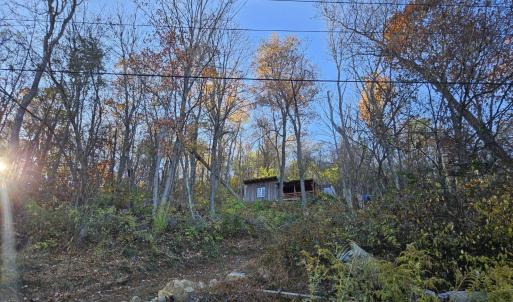 Photo #2 of TBD Lot 17 SPRING BRANCH LN, FREE UNION, VA 3.7 acres