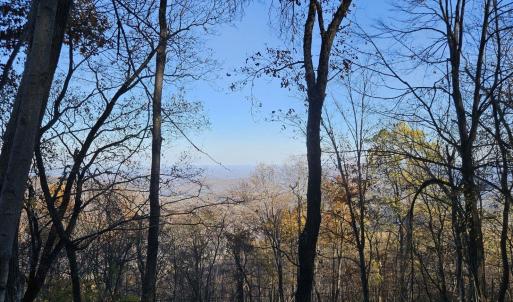 Photo #1 of TBD Lot 17 SPRING BRANCH LN, FREE UNION, VA 3.7 acres