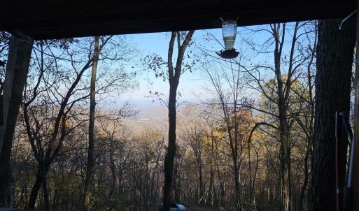 Photo #5 of TBD Lot 17 SPRING BRANCH LN, FREE UNION, VA 3.7 acres