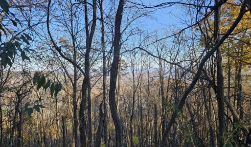 Photo #18 of TBD Lot 17 SPRING BRANCH LN, FREE UNION, VA 3.7 acres